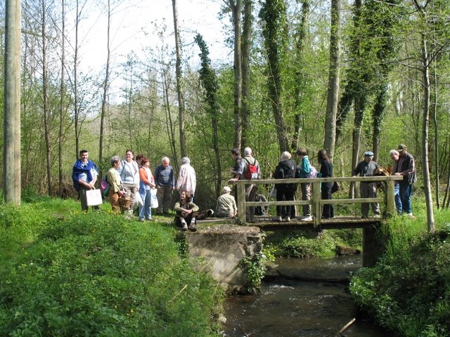 2008 04  Bota et Myco 16